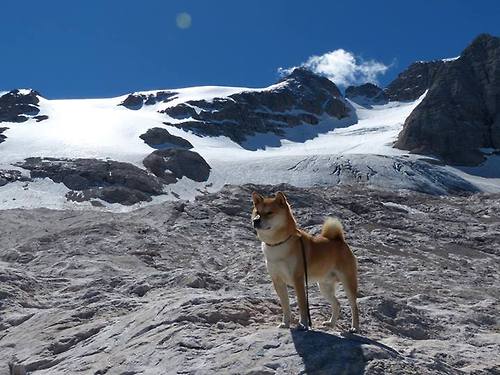 圣城铁蹄下的独舞，当马刺体系碾压爵士，米切尔的光芒如何刺破苍穹？