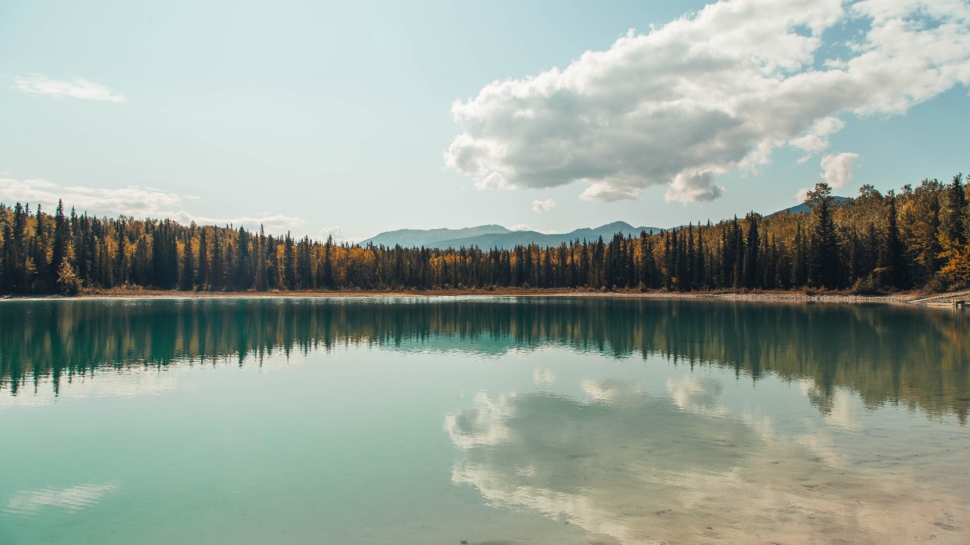 冰与火之歌，ATP总决赛如何逆转拉沃尔杯，看穆雷点燃赛场的灵魂之火