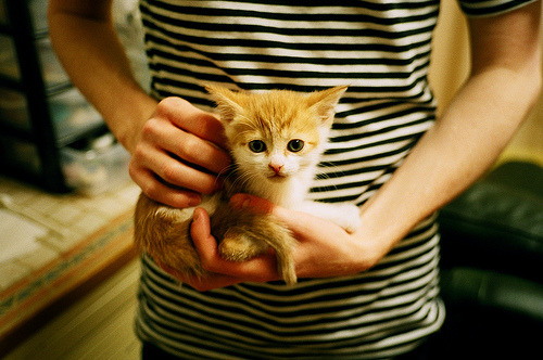 从雅典到华沙的逆袭之路，当希腊神话在波兰的土地上绽放—孔德一箭穿心，不仅刷新了纪录，更改写了游戏规则