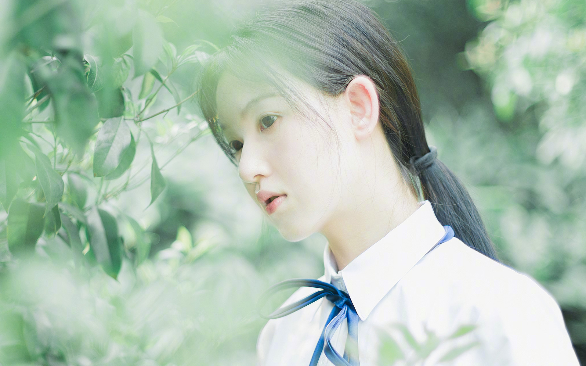 横扫的意义,从尼克斯大胜到字母哥的火热,看竞技体育的层次感