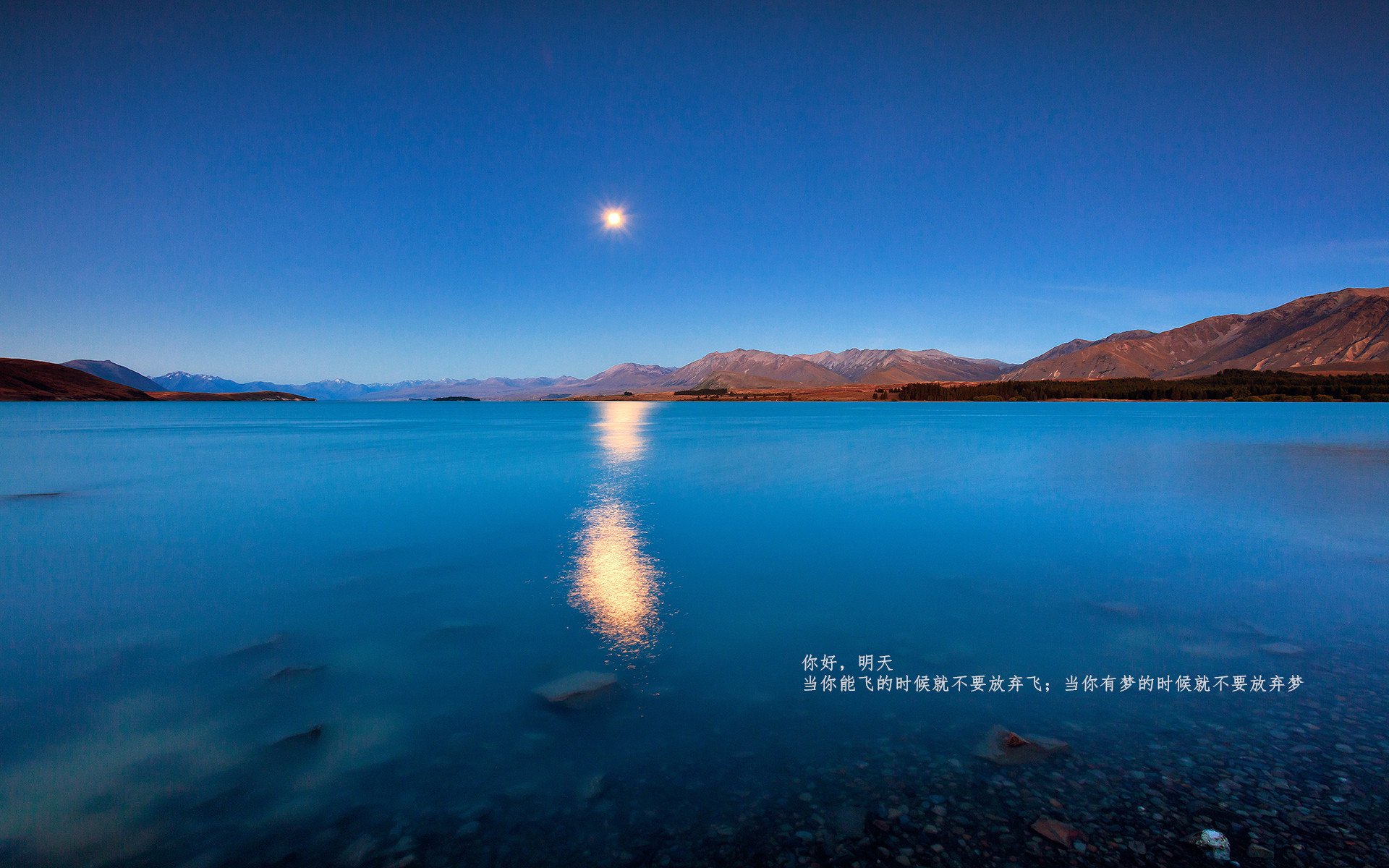 绿茵与硬木，跨越大陆的体育狂想曲