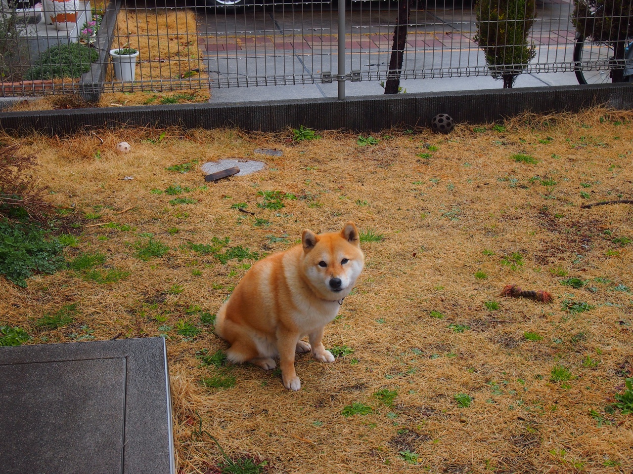 唯一性之光，芬兰在美加墨世界杯焦点战中完胜秘鲁的非凡故事