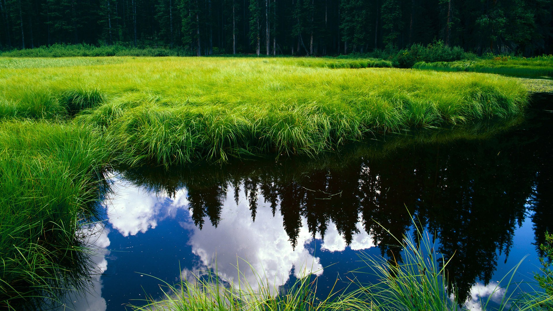 神谕三分雨，那个压力拉满的夜晚，拉文如何用一记错误的投篮完成屠龙童话