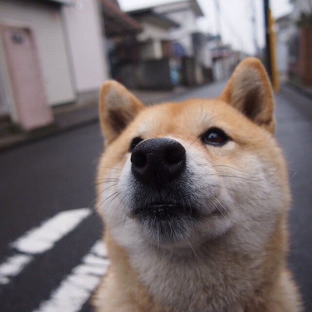 压哨绝杀，土耳其一球击碎中国女排奥运资格，失利背后是沉重的代价