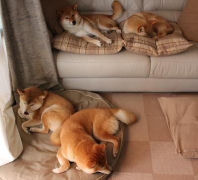 从后防铁闸到进攻引擎，奥运周期关键夜，富安健洋如何一人撕碎对手整条防线