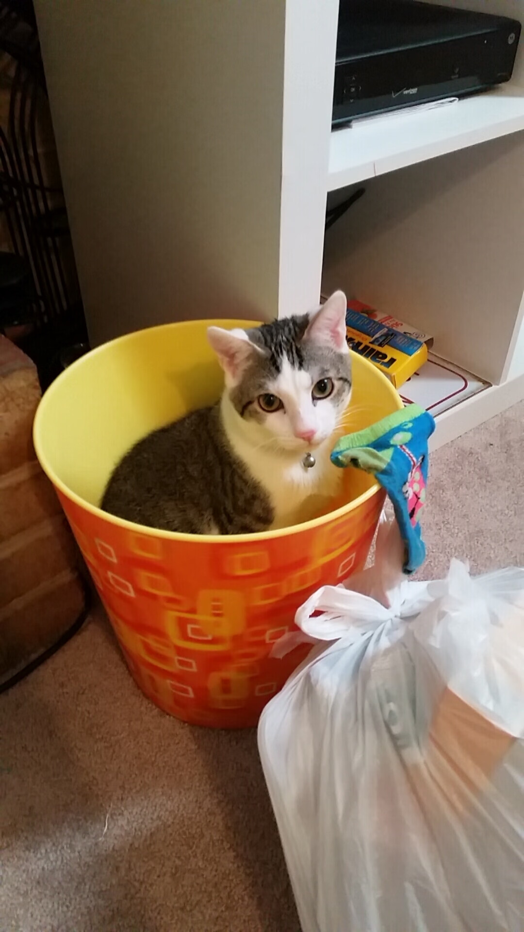 劲射如虹定乾坤，铁壁惊雷压敌锋—卡瓦哈尔一箭穿心助丹麦险胜几内亚