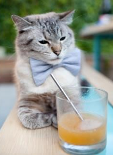 铁血与灵感的双重奏，莱比锡红牛击溃乌克兰，贝林厄姆点燃赛场