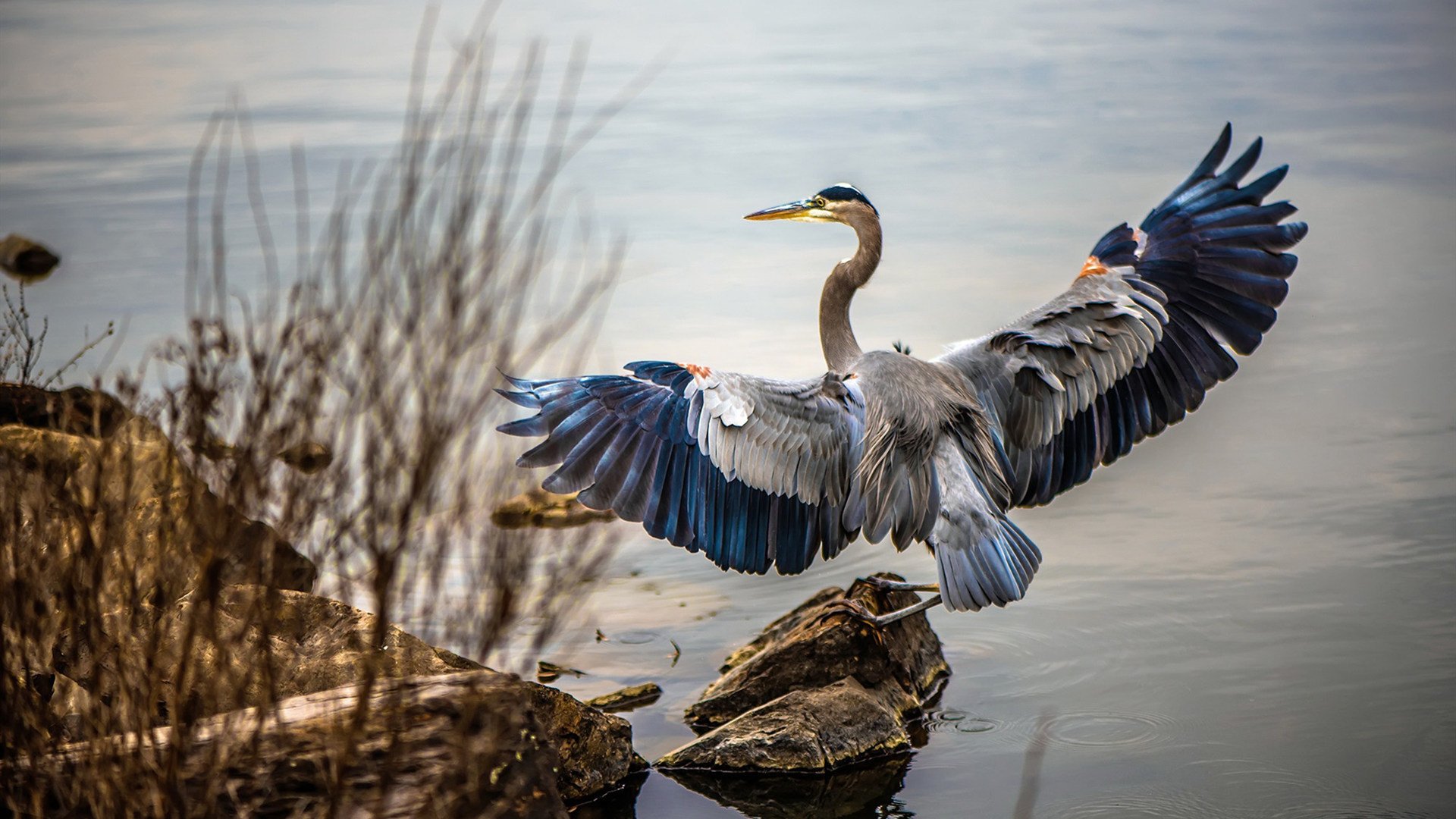 引擎轰鸣中的得分狂潮，当武切维奇在F1争冠之夜，用连续命中改写比赛方程式