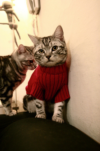 当绿色巨人遇见东方浪潮，乔治如何定义篮球的第三种可能