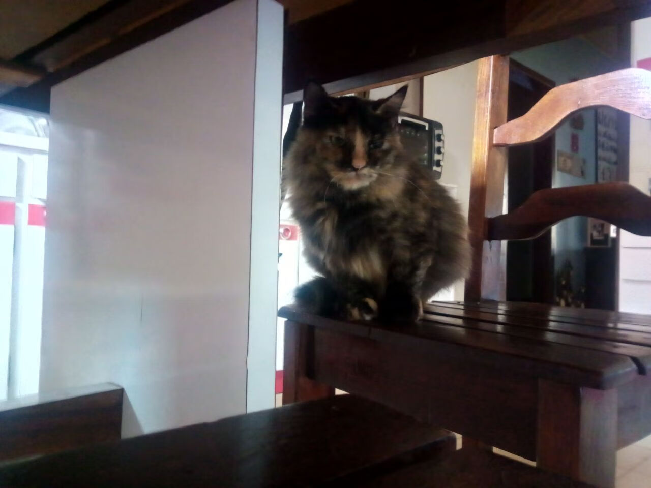 开拓者破壁，当欧冠决赛的绿茵场，遇见战胜奇才的勇者