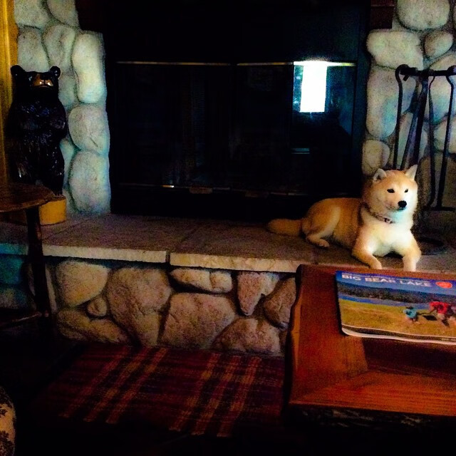 唯一性的体育共鸣，德甲争冠焦点战与勇士力克热火的跨界启示