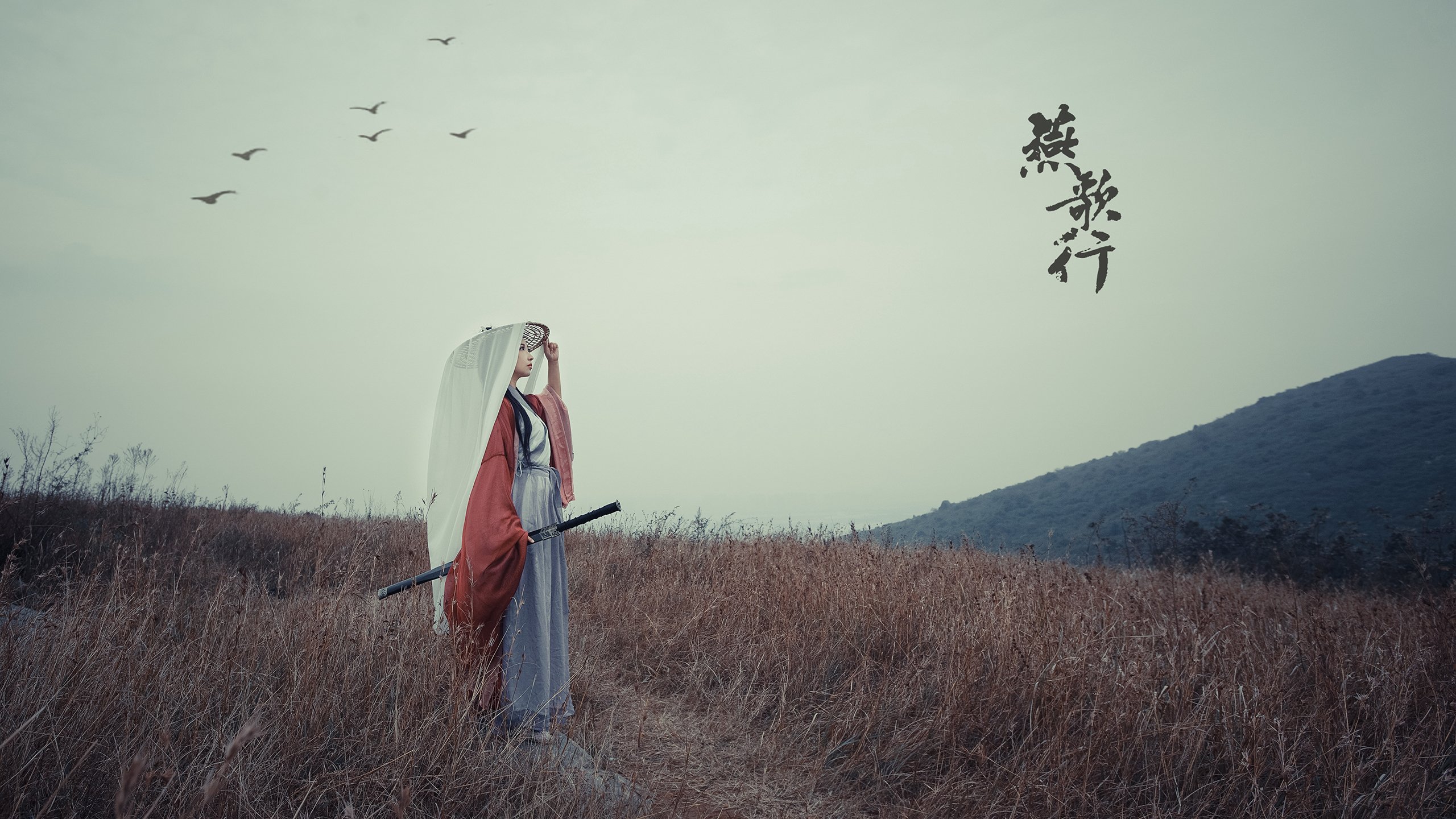 群雄逐鹿中的暗涌,厄瓜多尔高原铁骑碾压葡萄牙,孙兴慜独领风骚点燃D组烽火