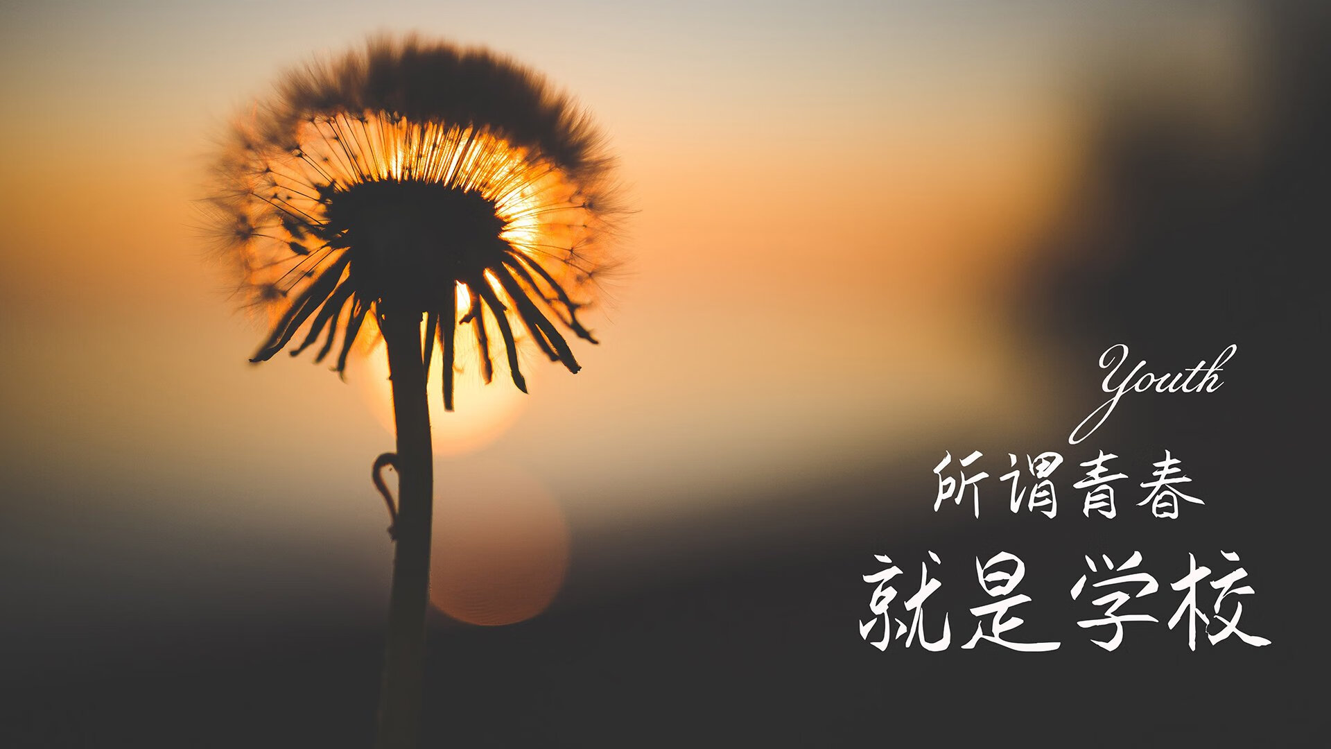 布拉迪斯拉发之夜,穆西亚拉封神,斯洛伐克以钢铁洪流碾碎墨西哥的2026世界杯生死战