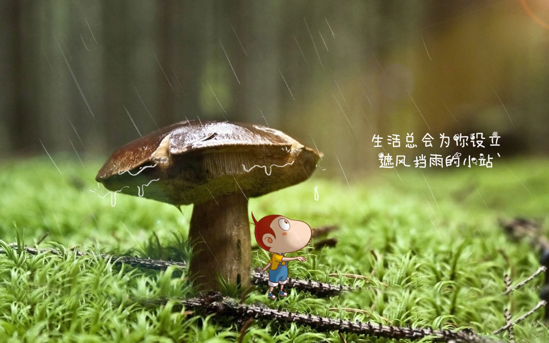 （扩展思维后的备选）